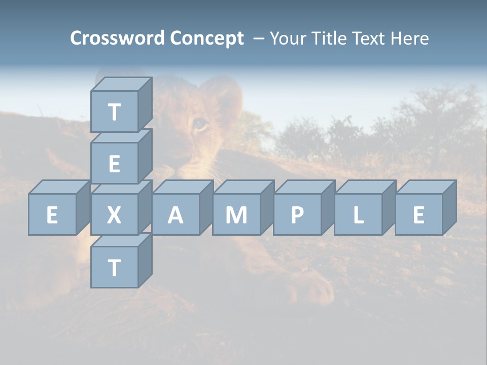 A Lion Cub Laying Down On A Dirt Road PowerPoint Template
