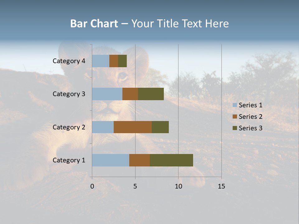 A Lion Cub Laying Down On A Dirt Road PowerPoint Template