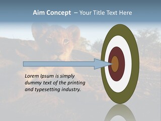 A Lion Cub Laying Down On A Dirt Road PowerPoint Template