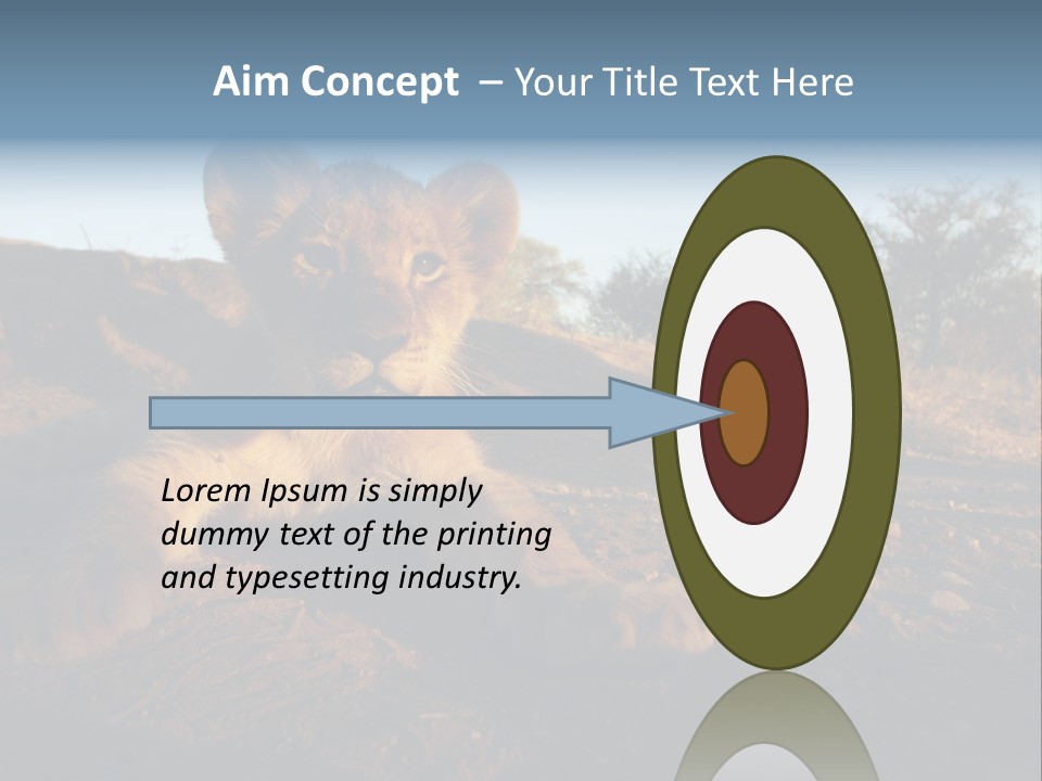 A Lion Cub Laying Down On A Dirt Road PowerPoint Template