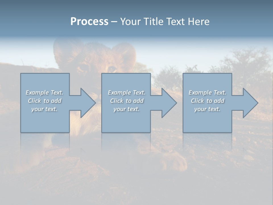 A Lion Cub Laying Down On A Dirt Road PowerPoint Template