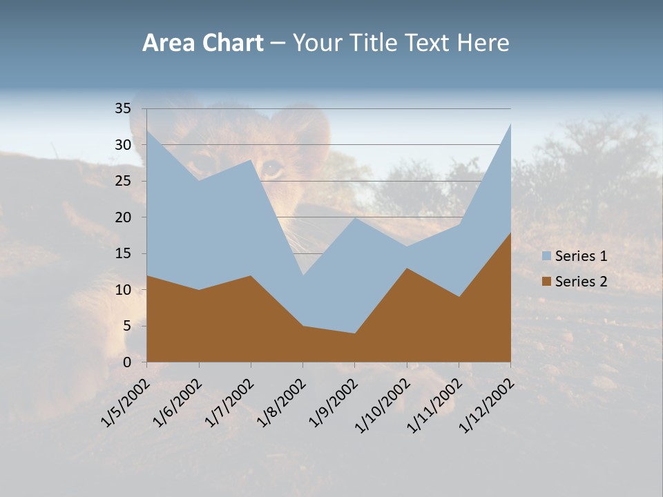 A Lion Cub Laying Down On A Dirt Road PowerPoint Template