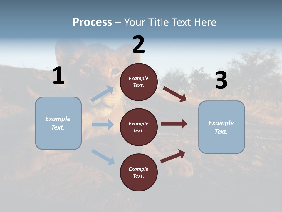 A Lion Cub Laying Down On A Dirt Road PowerPoint Template