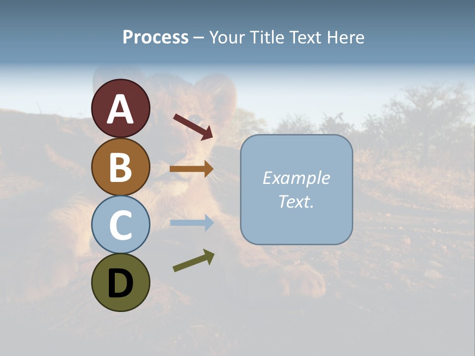 A Lion Cub Laying Down On A Dirt Road PowerPoint Template