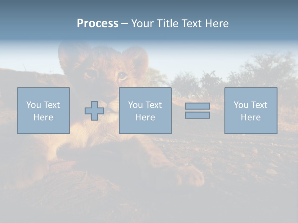 A Lion Cub Laying Down On A Dirt Road PowerPoint Template