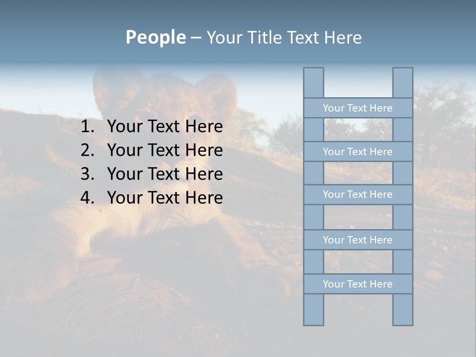 A Lion Cub Laying Down On A Dirt Road PowerPoint Template