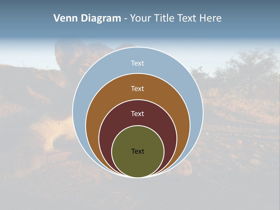 A Lion Cub Laying Down On A Dirt Road PowerPoint Template
