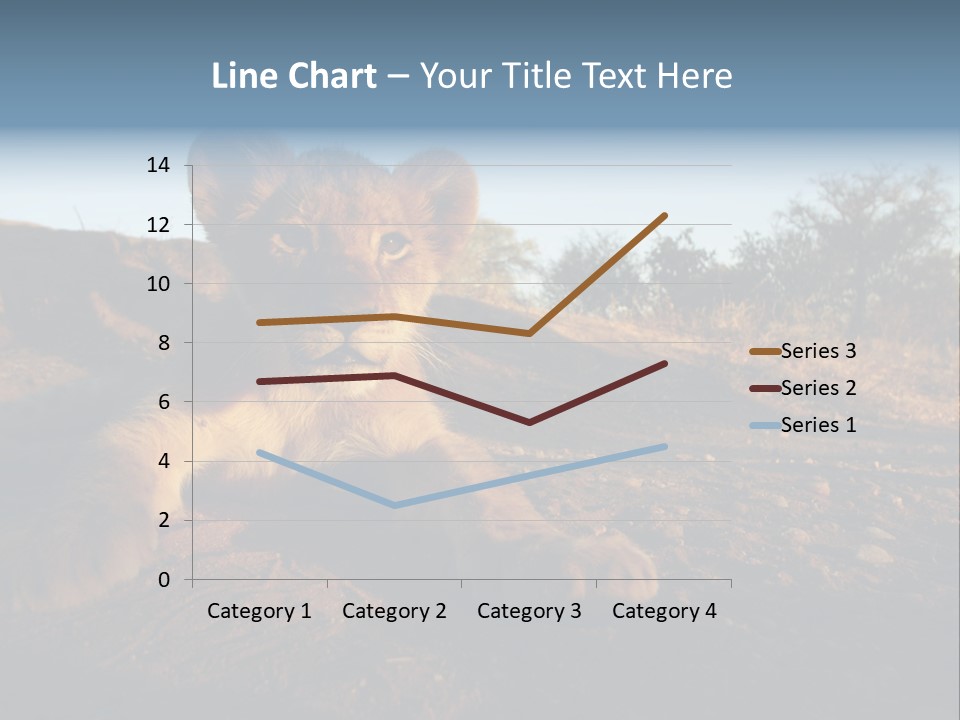 A Lion Cub Laying Down On A Dirt Road PowerPoint Template