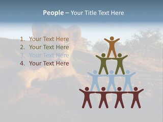 A Lion Cub Laying Down On A Dirt Road PowerPoint Template