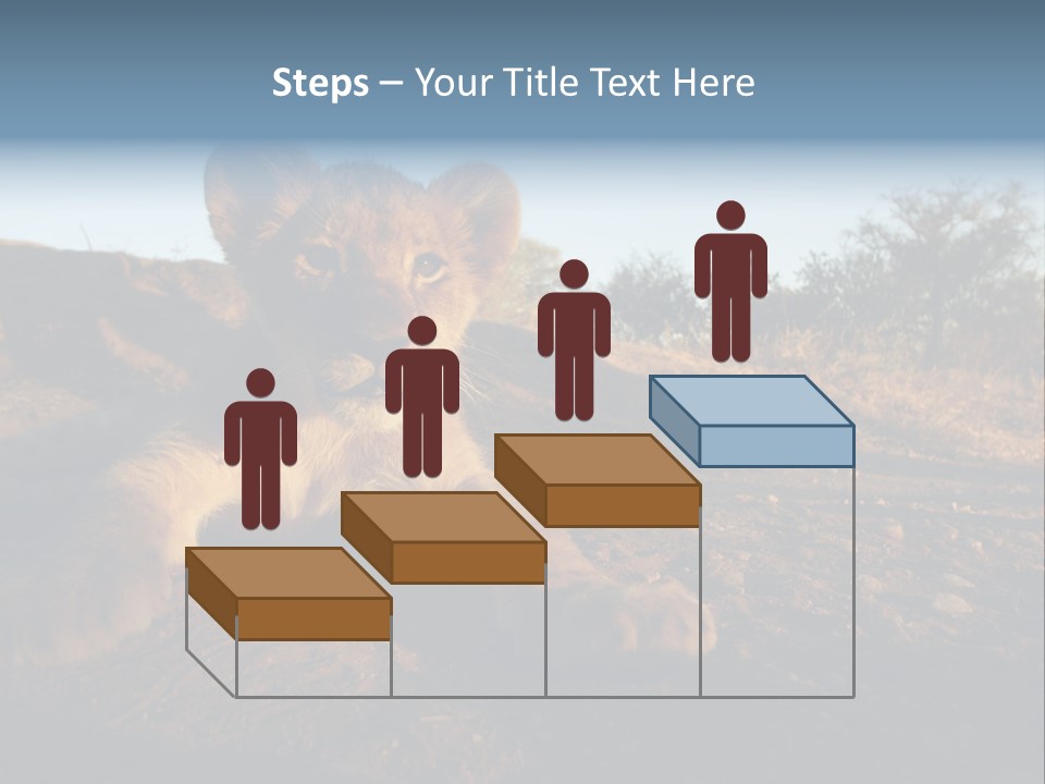 A Lion Cub Laying Down On A Dirt Road PowerPoint Template