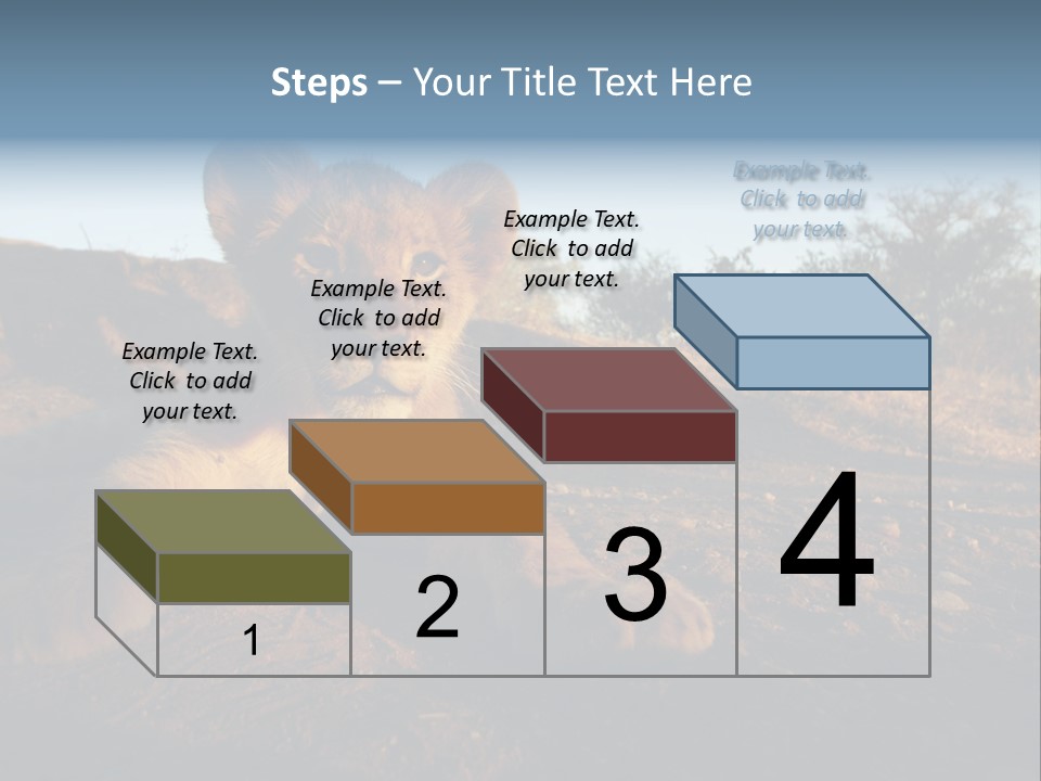 A Lion Cub Laying Down On A Dirt Road PowerPoint Template