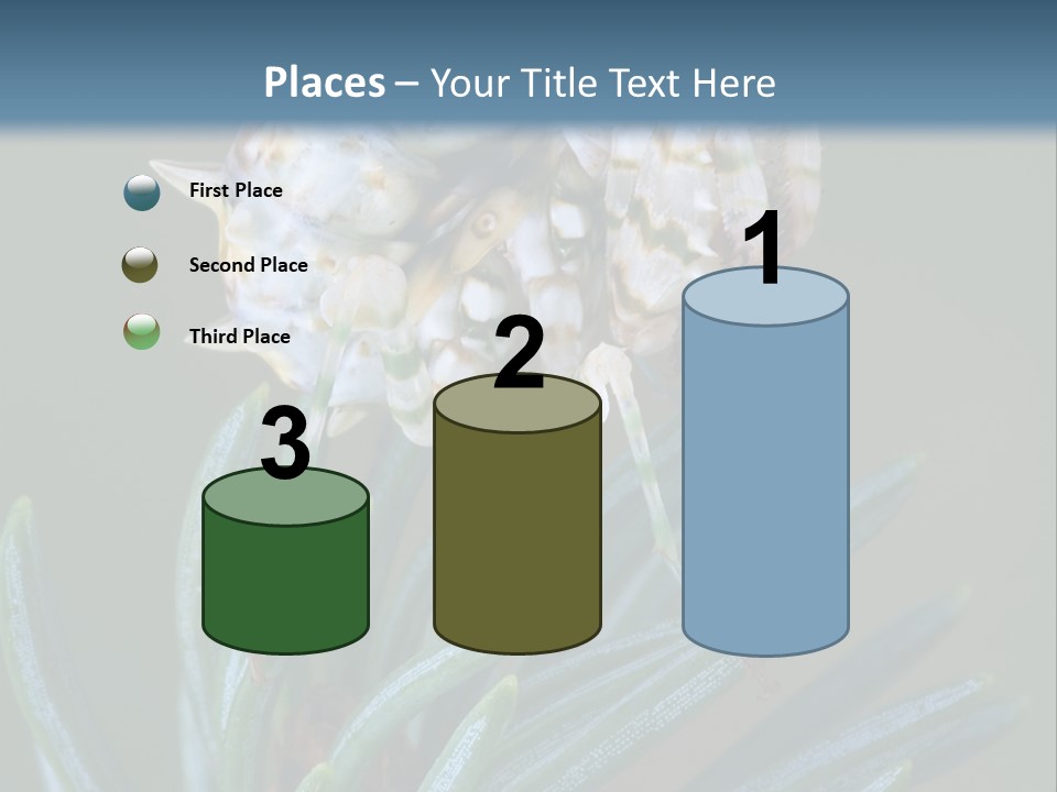 Closeup Animal Nature PowerPoint Template