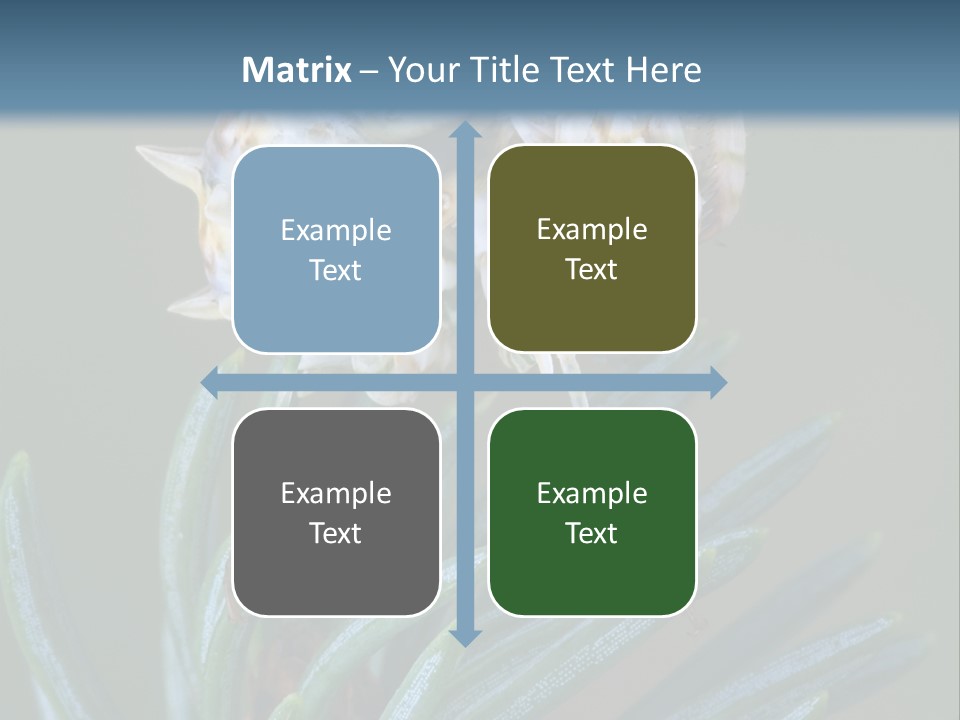 Closeup Animal Nature PowerPoint Template