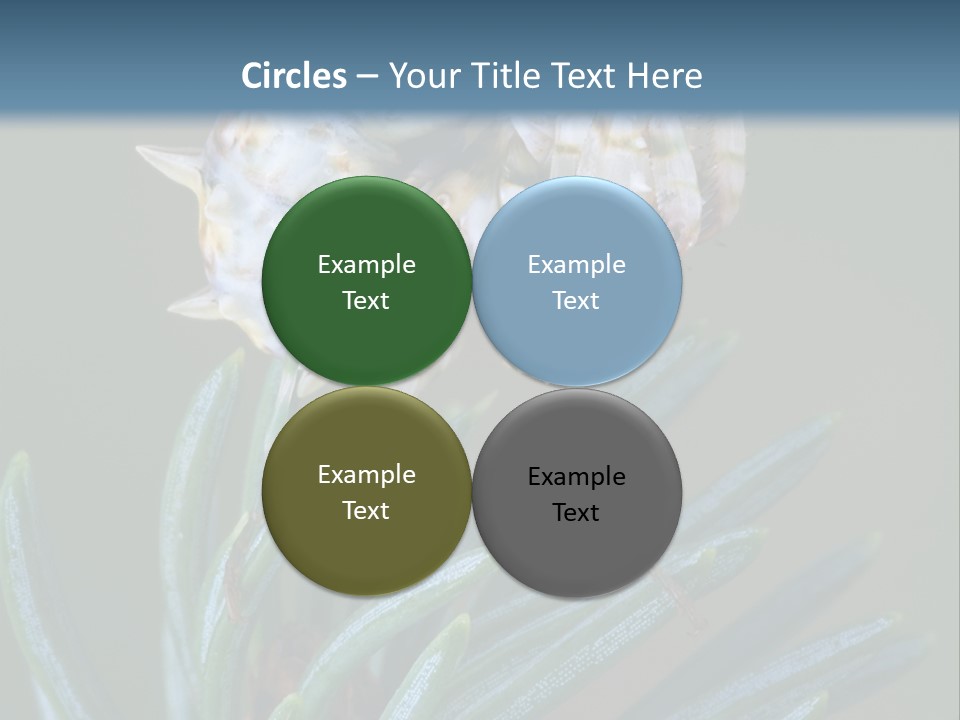 Closeup Animal Nature PowerPoint Template