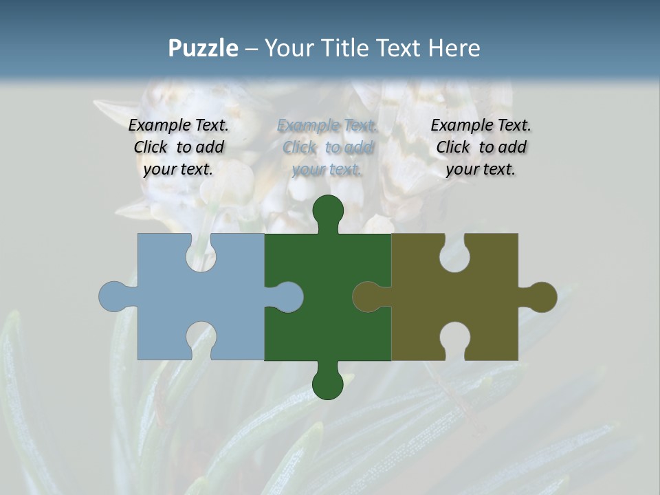 Closeup Animal Nature PowerPoint Template