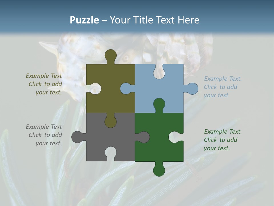 Closeup Animal Nature PowerPoint Template