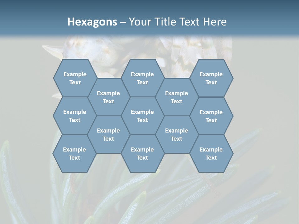 Closeup Animal Nature PowerPoint Template