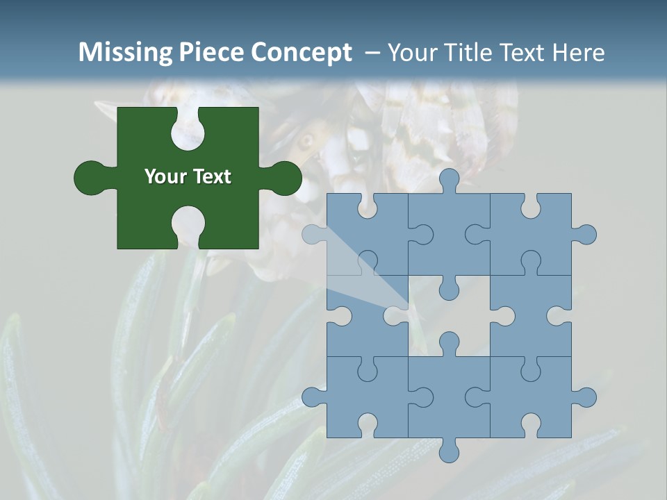 Closeup Animal Nature PowerPoint Template