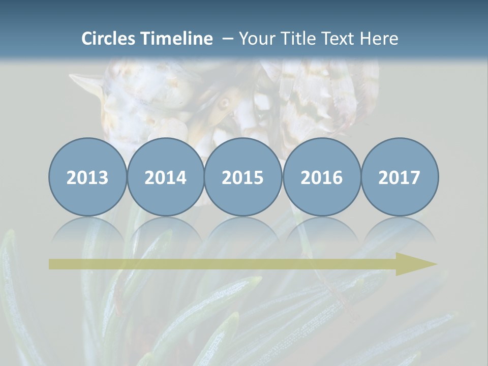 Closeup Animal Nature PowerPoint Template