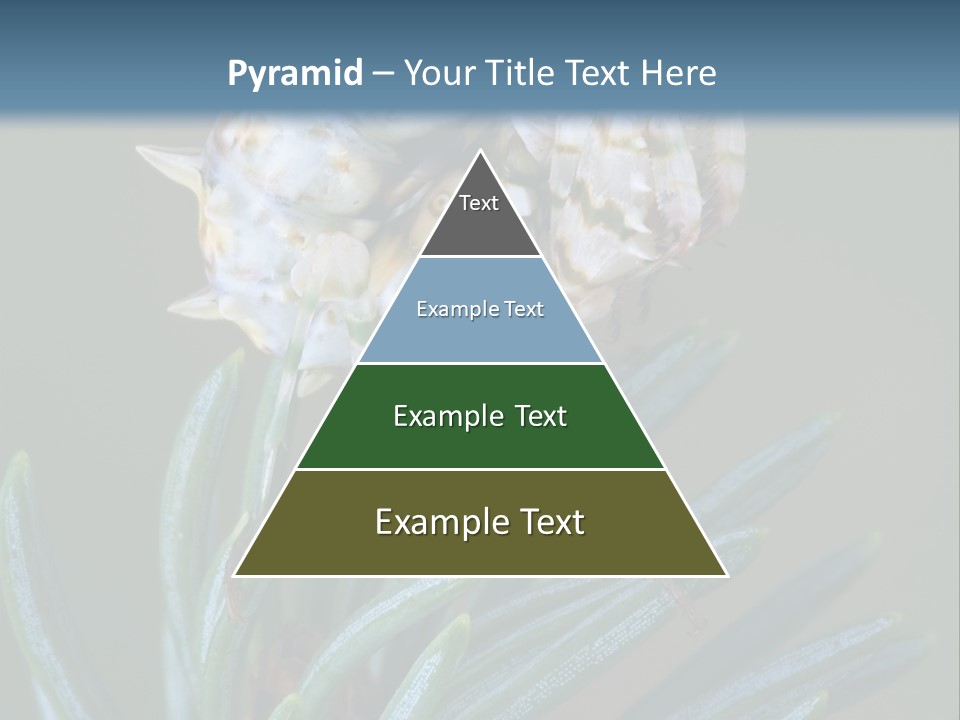 Closeup Animal Nature PowerPoint Template