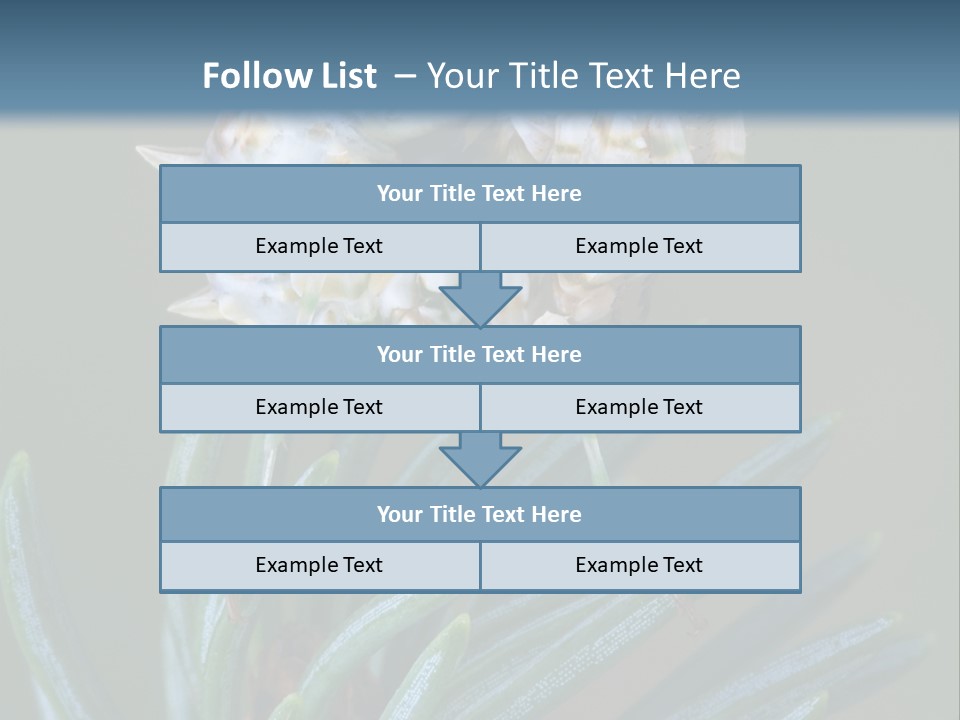 Closeup Animal Nature PowerPoint Template