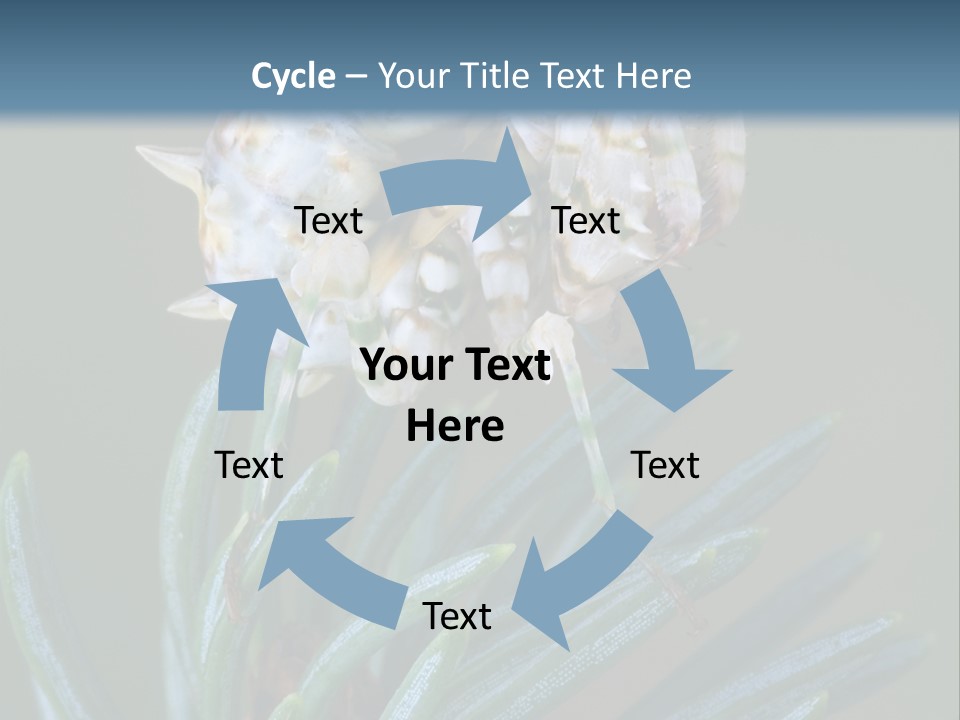 Closeup Animal Nature PowerPoint Template