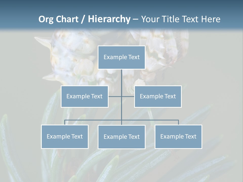 Closeup Animal Nature PowerPoint Template