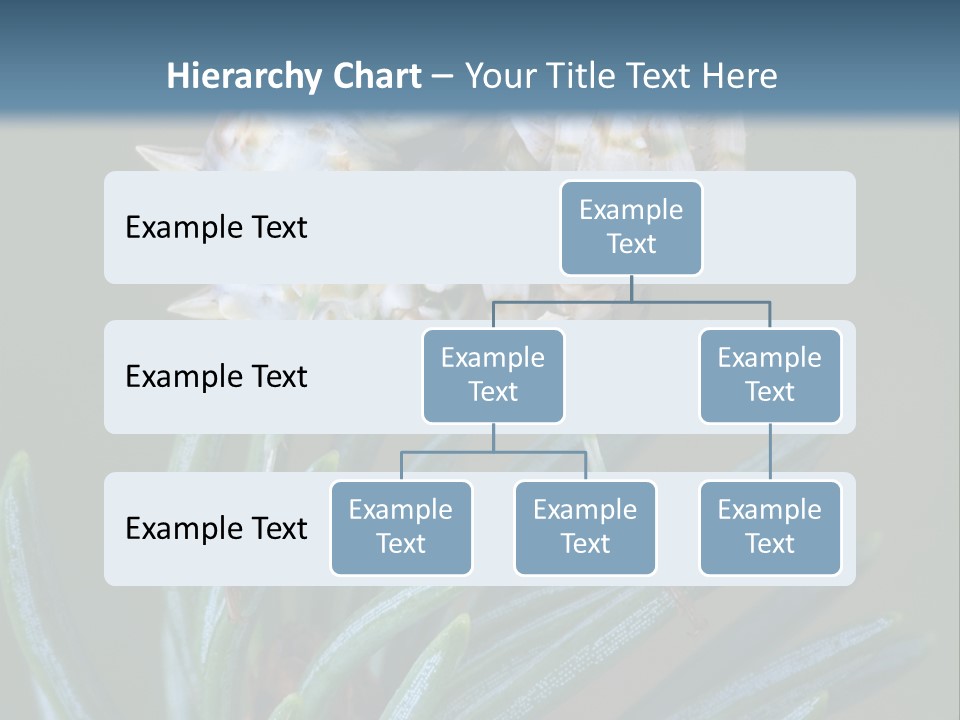 Closeup Animal Nature PowerPoint Template