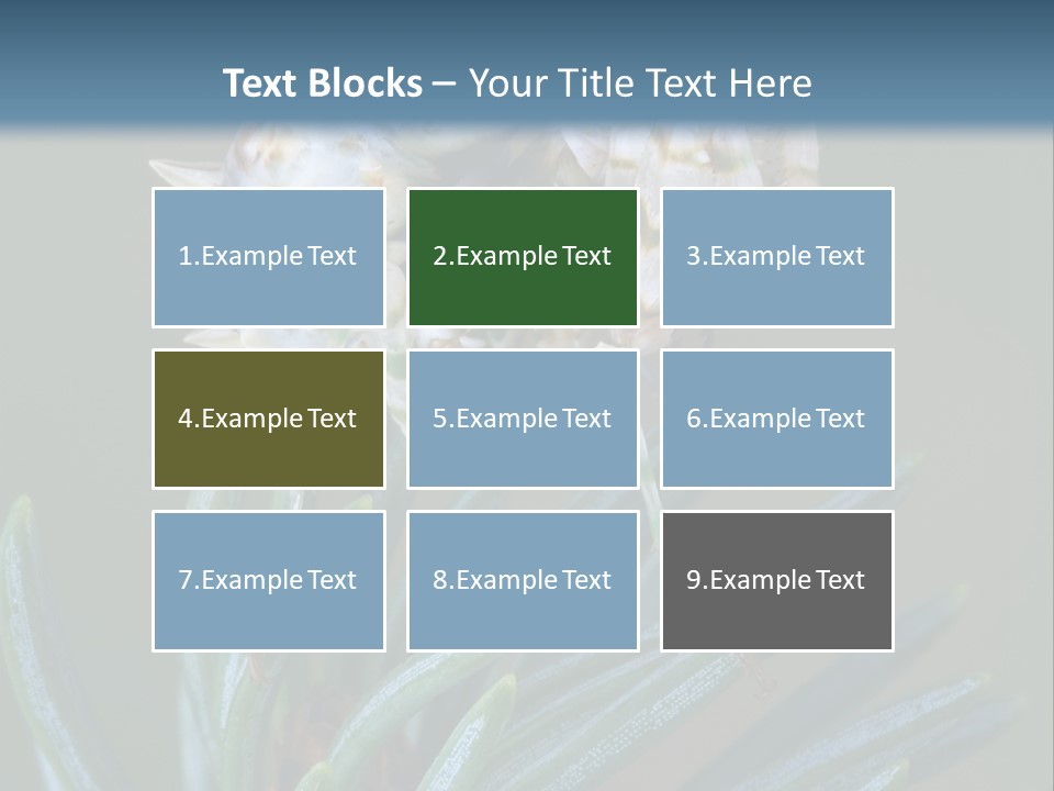 Closeup Animal Nature PowerPoint Template