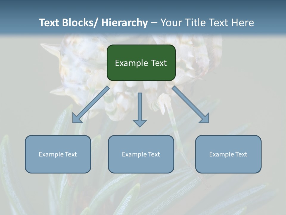 Closeup Animal Nature PowerPoint Template