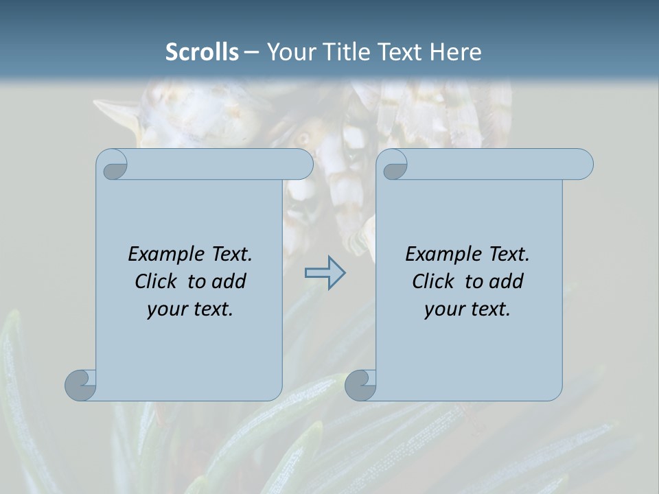 Closeup Animal Nature PowerPoint Template