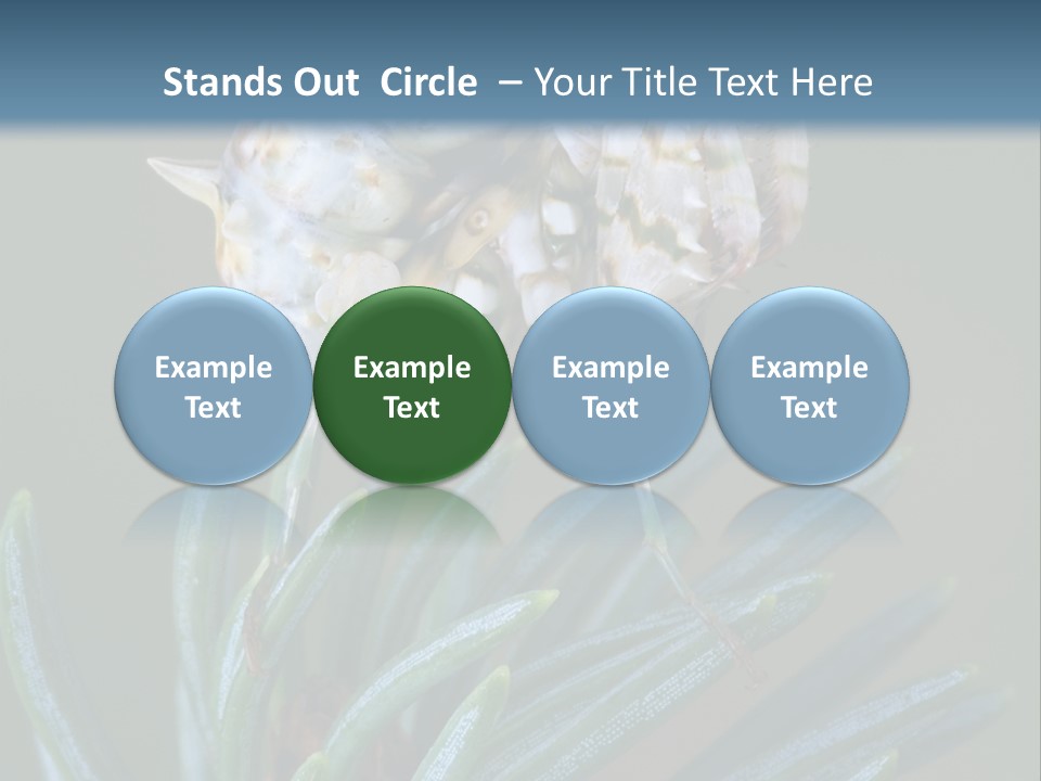 Closeup Animal Nature PowerPoint Template