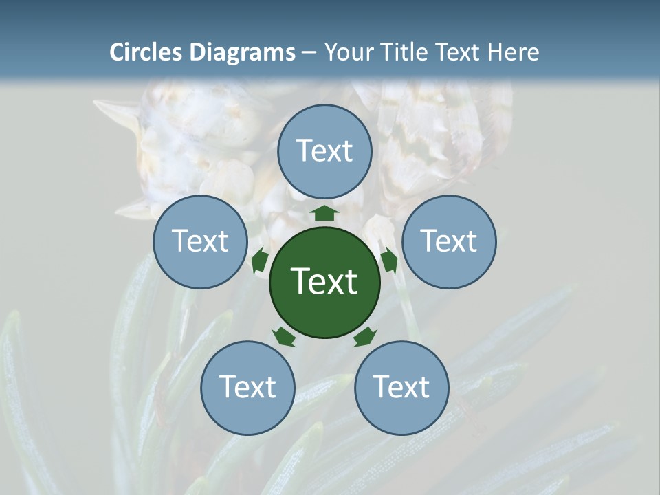 Closeup Animal Nature PowerPoint Template