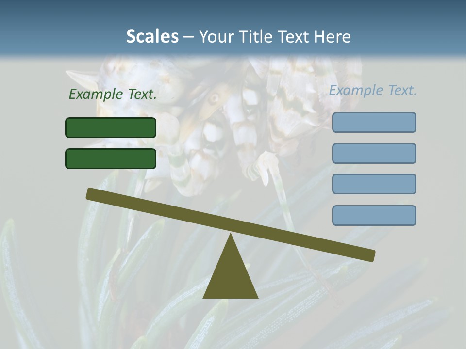 Closeup Animal Nature PowerPoint Template