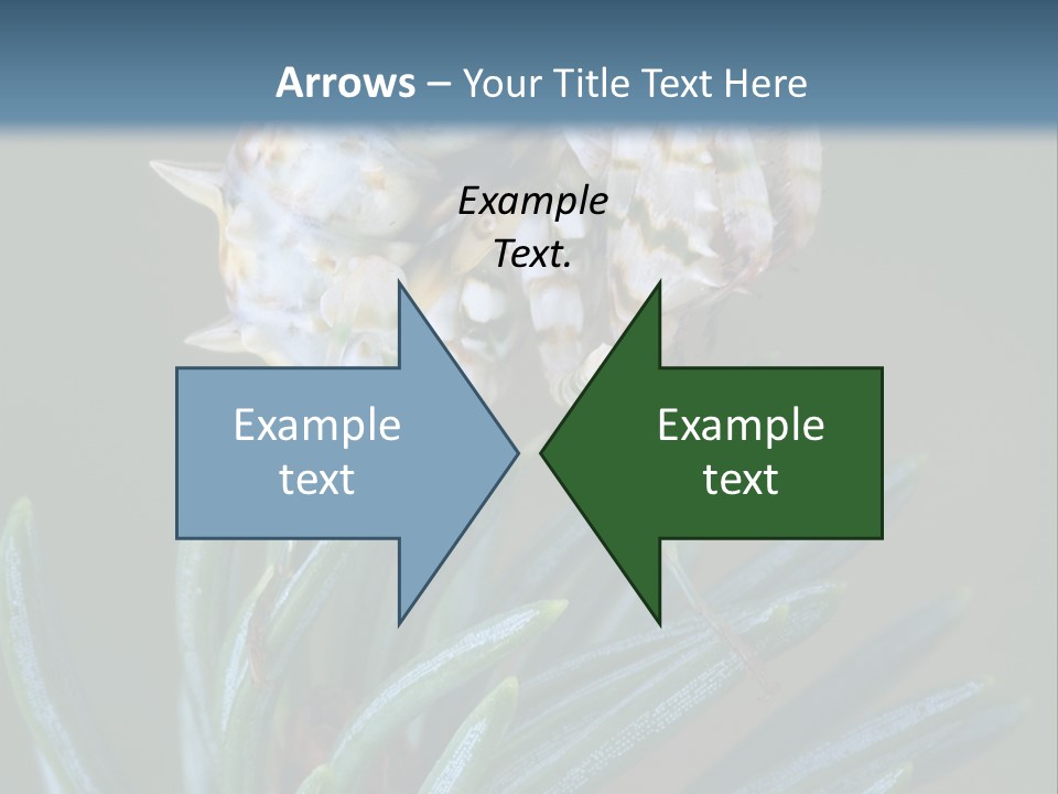 Closeup Animal Nature PowerPoint Template