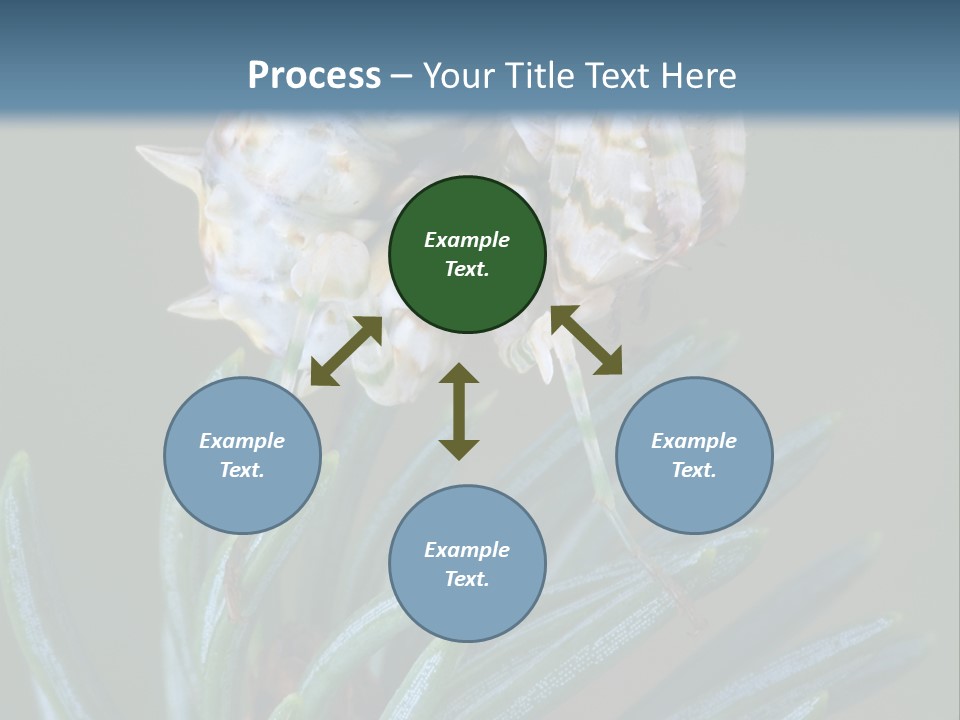 Closeup Animal Nature PowerPoint Template