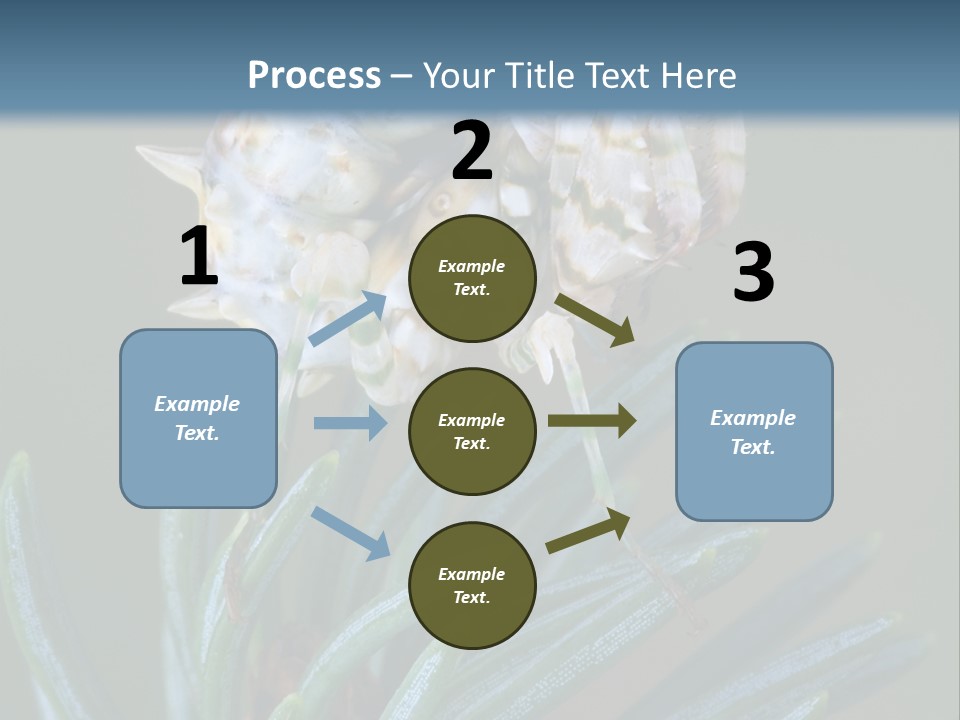 Closeup Animal Nature PowerPoint Template