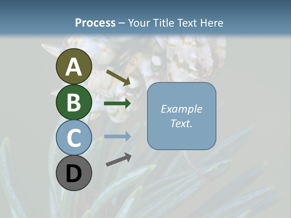 Closeup Animal Nature PowerPoint Template
