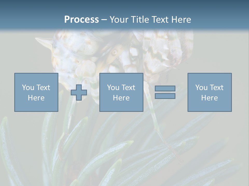 Closeup Animal Nature PowerPoint Template