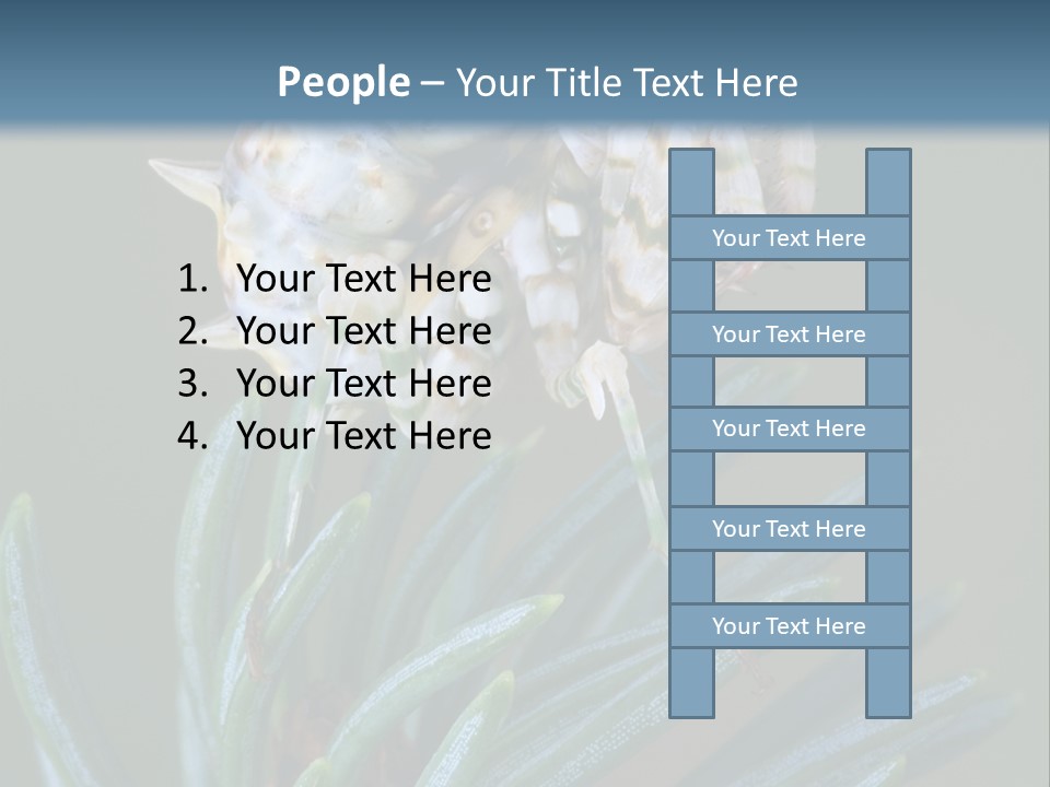 Closeup Animal Nature PowerPoint Template