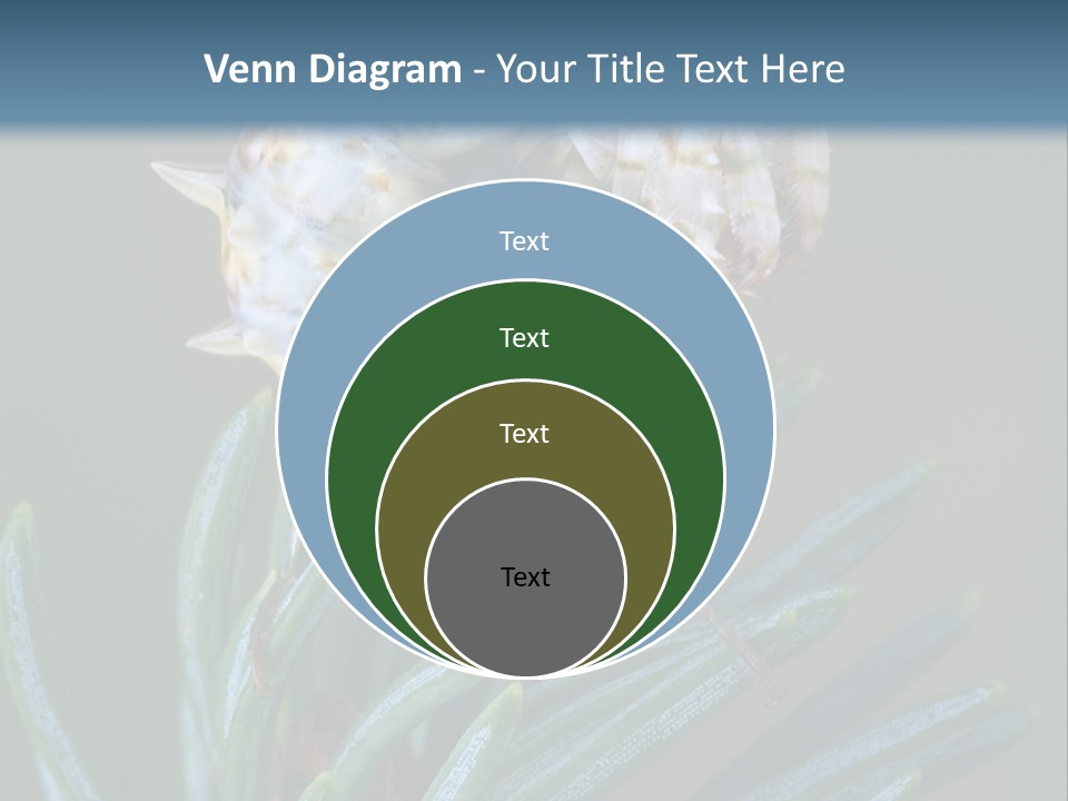 Closeup Animal Nature PowerPoint Template