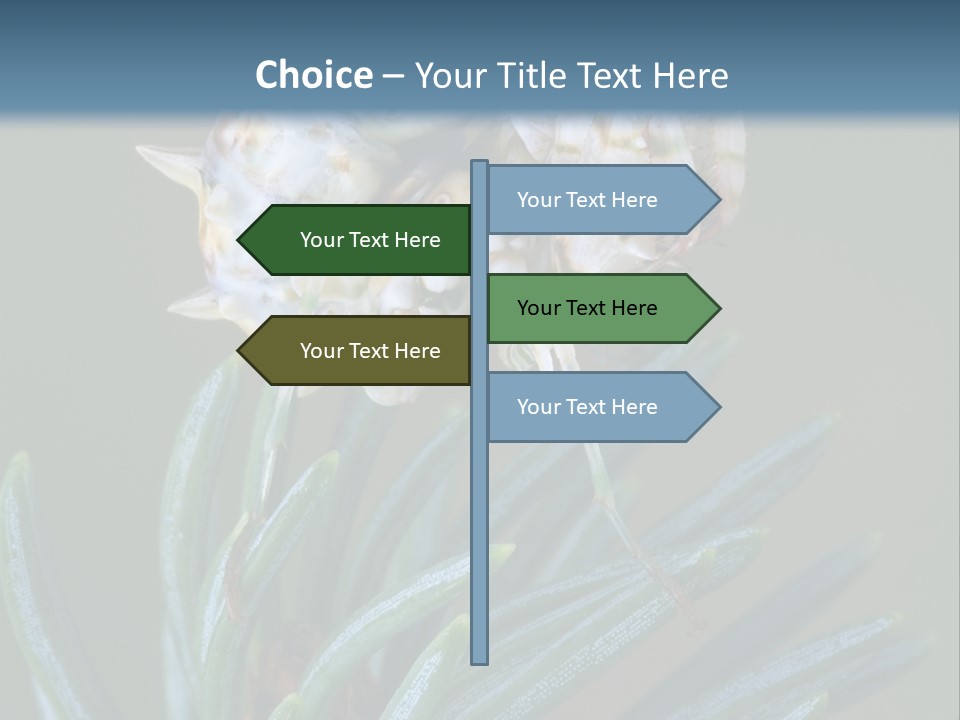 Closeup Animal Nature PowerPoint Template