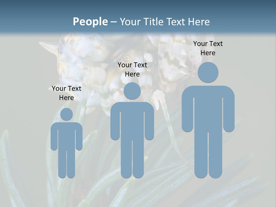 Closeup Animal Nature PowerPoint Template