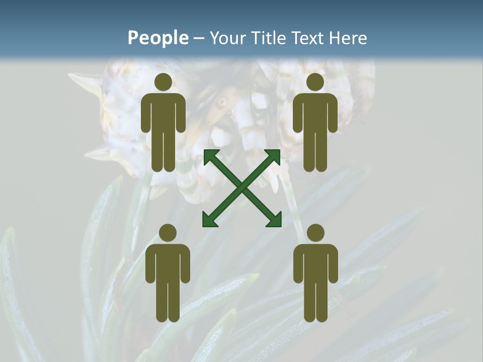 Closeup Animal Nature PowerPoint Template