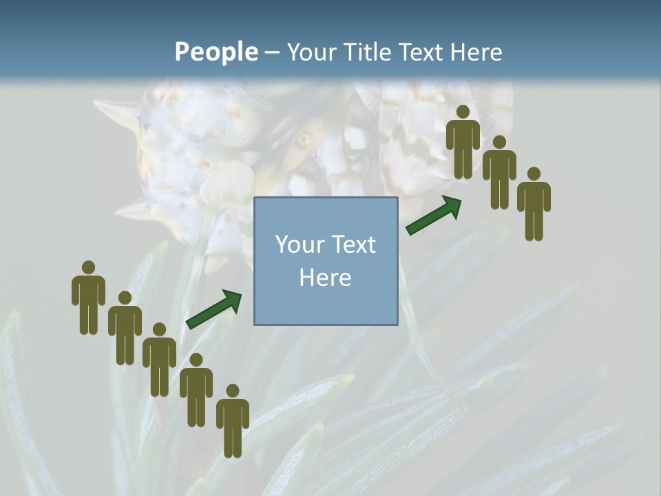 Closeup Animal Nature PowerPoint Template