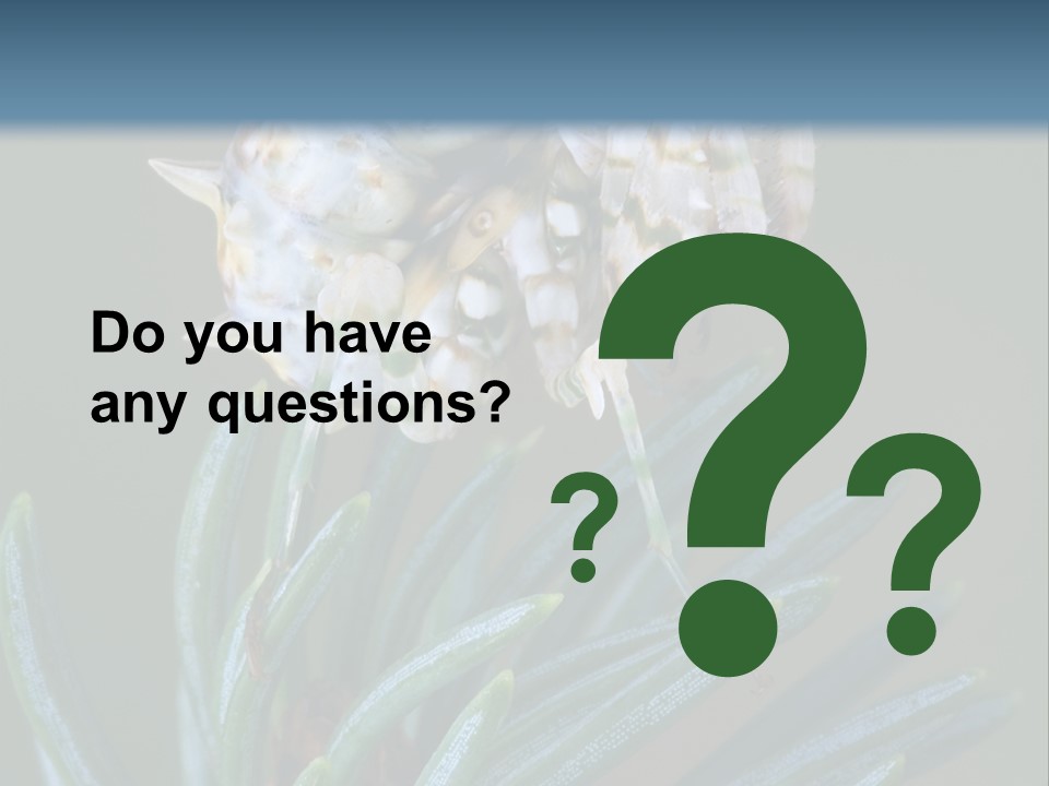 Closeup Animal Nature PowerPoint Template