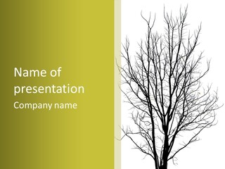 A Tree With No Leaves On A White And Green Background PowerPoint Template