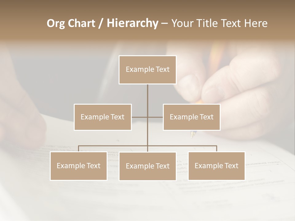 Ingredients Portion Meat PowerPoint Template