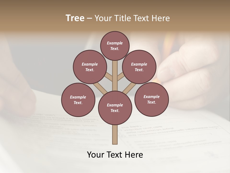Ingredients Portion Meat PowerPoint Template