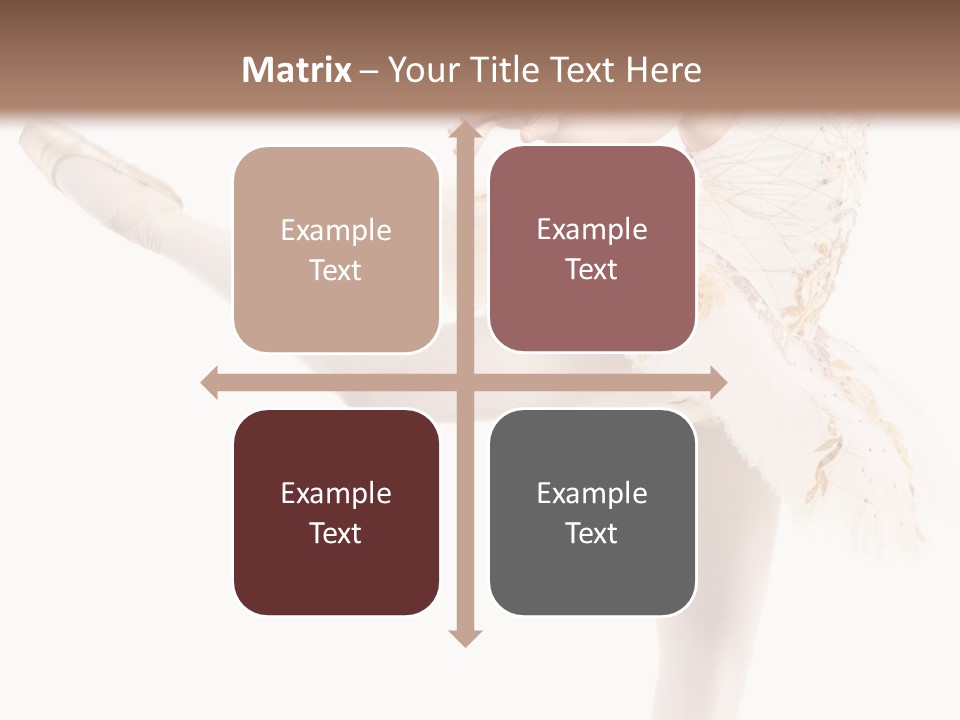 A Ballerina In A White Dress Is Posing For The Camera PowerPoint Template